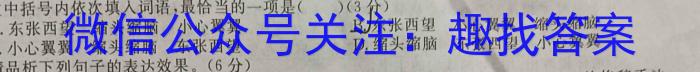 河南省教育研究院2024届新高三8月起点摸底联考历史试卷及参考答案语文