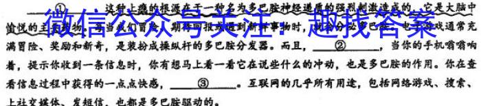 2024届湖北省高三8月联考(24-03C)语文