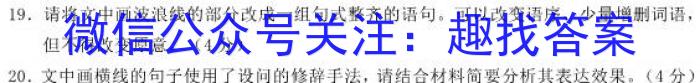 2024届贵州省高三年级入学考试（24-11C）语文