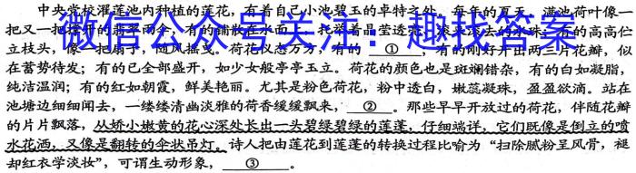 凉山州2022-2023学年度七年级下期期末检测试卷语文