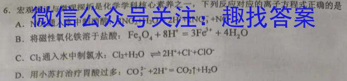 2024届高三第一轮复习周测卷·物理[24·G3ZCJ·物理-HKB-必考-SX](6-10)化学