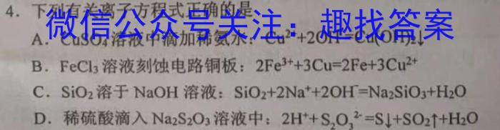 2024届名师原创分科模拟 新S4(八)化学