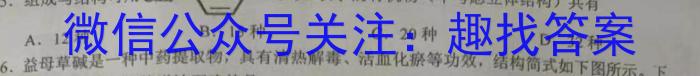 炎德英才大联考 2023-2024学年湖南师大附中2021级高三摸底考试试卷化学