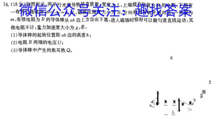 2024届名师原创分科模拟 新S4(二)物理.