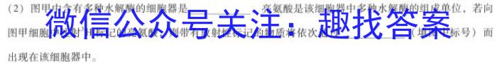 2024届江西省高三7月联考(24-01C)生物