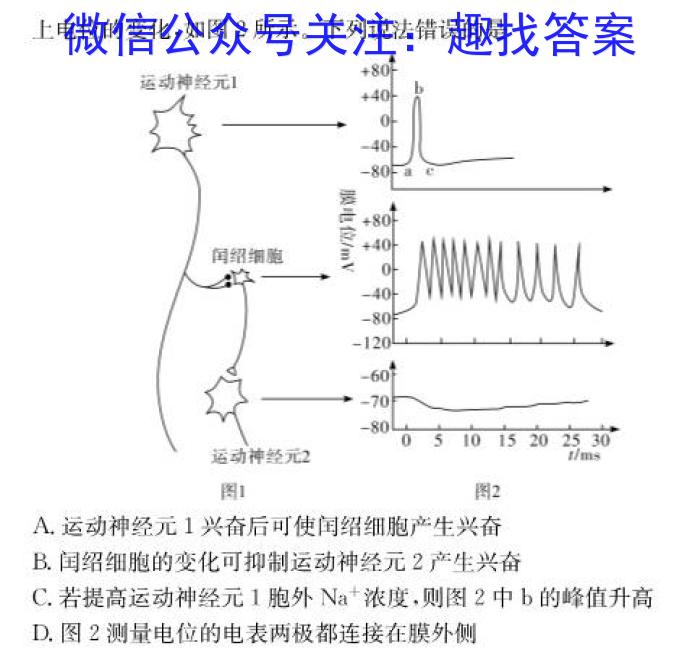 2024届分科综合检测卷(三)生物试卷答案