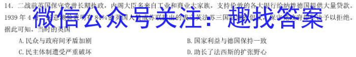 福建省漳州市2024-2023学年(下)高二期末高中教学质量检测历史