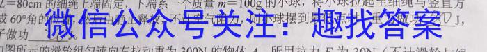 山东省菏泽市成武县南鲁学校2023-2024学年度九年级上学期开学考试物理`