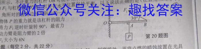 安徽省2023-2024学年第一学期八年级蚌埠G5教研联盟12月份调研考试数学