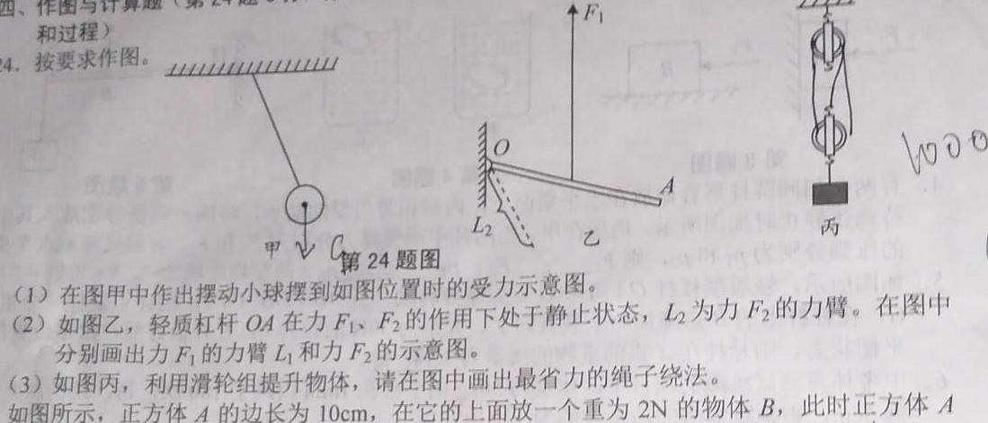 2024河南中考仿真模拟试卷(十)数学.考卷答案