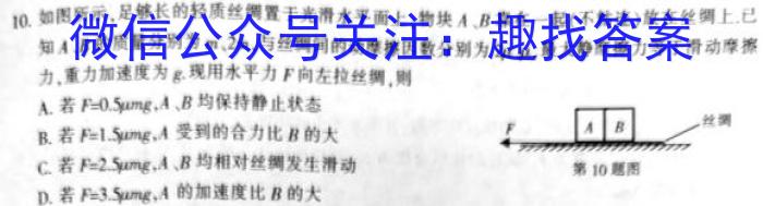 安徽省六安市某校2024届初三阶段性目标检测（七）数学