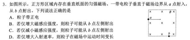 广东省深圳市宝安区高三期末考试(24-256C)数学.考卷答案