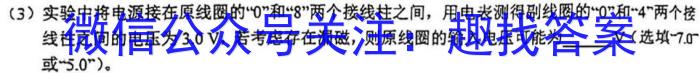 湖北省黄冈市2024年秋季七年级入学质量检测(2024年春湖北省知名中小学教联体联盟)数学