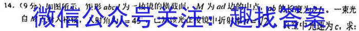 圆创联考·湖北省2024届高三八月联合测评.物理