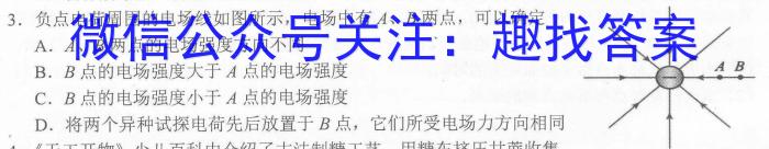 2024年河南省中招权威预测模拟试卷（四）数学