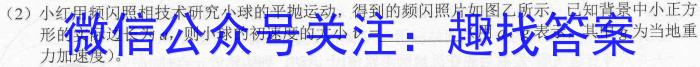 2024届贵州省六校联盟高考实用性联考卷（三）数学