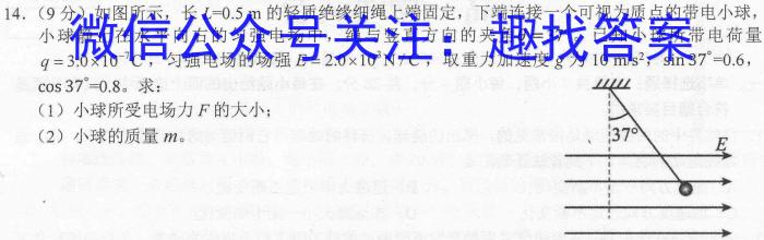 [泸州一诊]2023-2024学年泸州市高2021级第一次教学质量诊断性考试数学