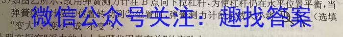 ［新疆大联考］新疆大联考2024届高三年级9月联考物理.