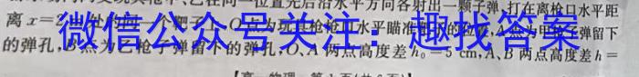 023-2024学年安徽省九年级上学期开学摸底调研q物理"
