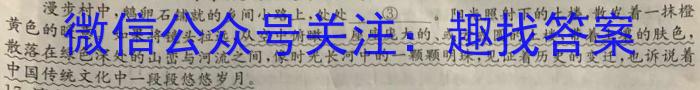 安徽省2024届九年级阶段评估1L R(一)语文