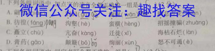 2024届福建泉州高三质检8月开学考试语文