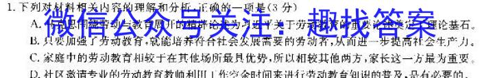 安徽省2023-2024学年高二年级名校阶段检测联考（24004B）/语文