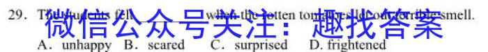 2023-2024学年安徽省八年级上学期开学摸底调研英语