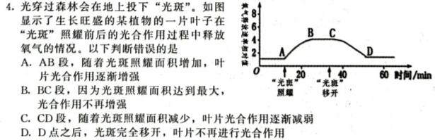 2024届湖北省部分名校高三新起点8月联考生物