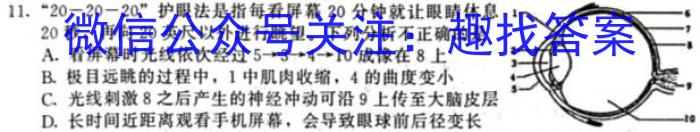 九师联盟 2024届8月高三开学考(新教材-L)生物试卷答案