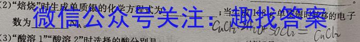 3安徽省2024届九年级阶段评估1L R(一)化学