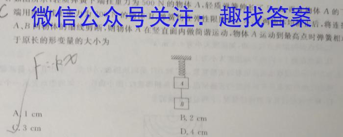 2024届百万大联考高三年级8月联考（1002C）q物理