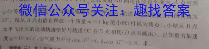 ［开学考］九师联盟2023-2024学年高三教学质量检测（XLG）物理.