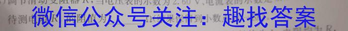 湖南省长沙市北雅中学2023年秋季（九年级）入学练习l物理