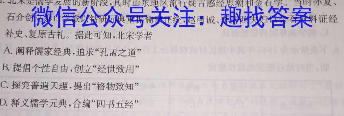 湖南省长沙市湖南师大附中2024届九年级第一次质量调研检测历史