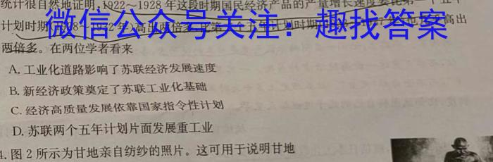 江淮十校2024届高三第一次联考（8月）地理试卷及参考答案历史