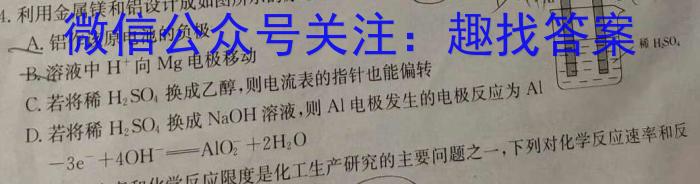 q甘肃省2024届高三摸底检测(24-21C)化学