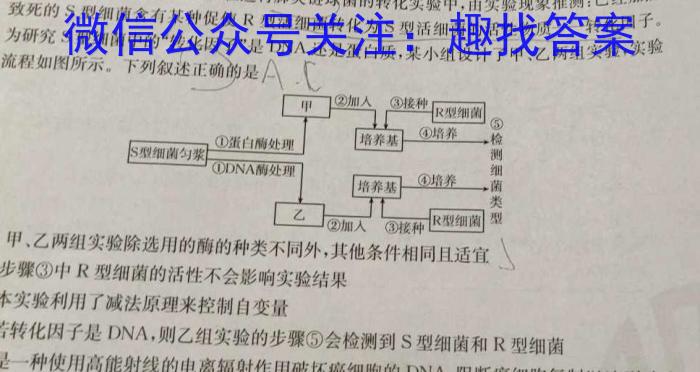 ［湖南大联考］湖南省2025届高二年级9月联考生物试卷答案
