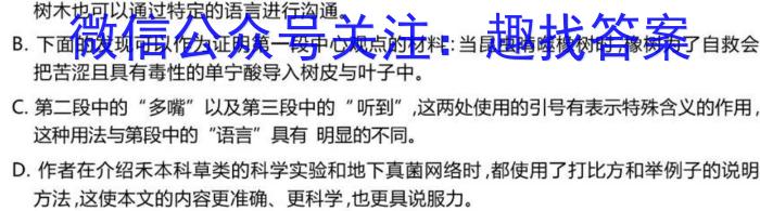 青桐鸣 2025届普通高等学校招生全国统一考试 青桐鸣高二联考(9月)/语文