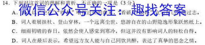 江西省稳派教育联考2024届高三开学摸底考试语文