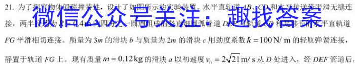 新高中创新联盟TOP二十名校高二9月调研考试物理.