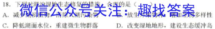 2024届全国高考分科调研模拟测试卷 XGK(二)地理.