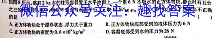2024届百师联盟 高三开学摸底联考l物理