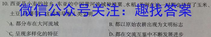 24届高三年级TOP二十名校调研考试二历史
