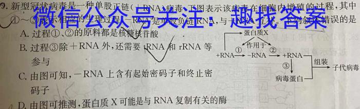 皖江名校2023-2024学年度上学期高二年级联考生物