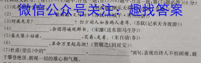 衡水金卷先享题·月考卷 2023-2024学年度上学期高三年级二调（新教材）语文