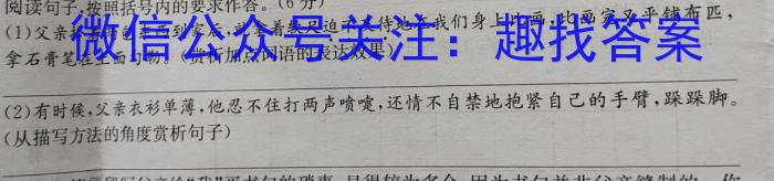 ［海南大联考］海南省2024届高三年级8月联考语文