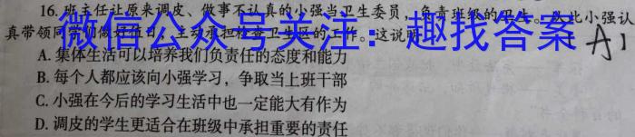 百师联盟2025届高二年级模拟考试（湖南卷）政治~