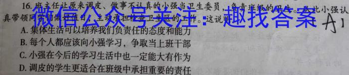 安徽省三海等地教育联盟2023-2024学年九年级上学期11月期中考试政治~