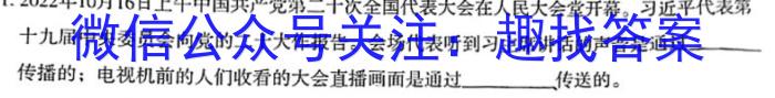 2023-2024学年度湖北省部分学校九年级调研考试物理.
