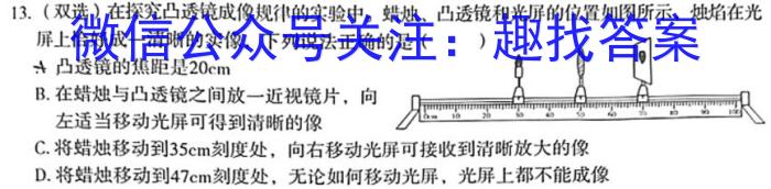 福建省漳州市2024届高中毕业班第一次教学质量检测l物理